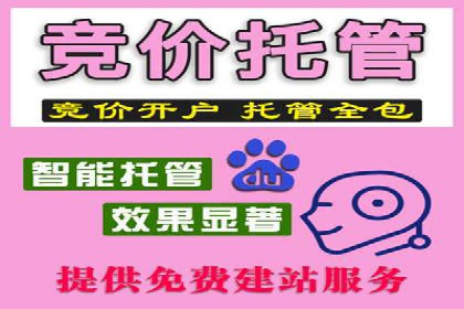 百度竞价广告案例分析：成功之道揭秘